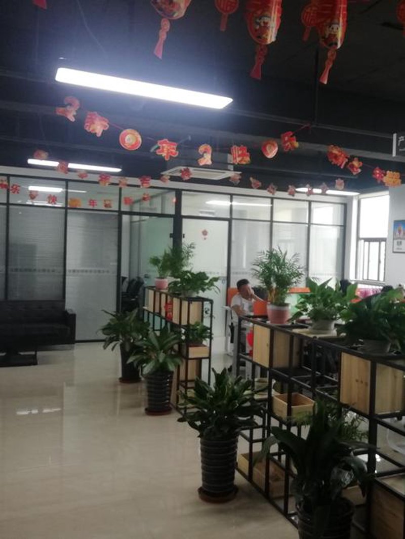 合肥系统集成在智慧城市的未来蓝图中扮演着怎样的角色？